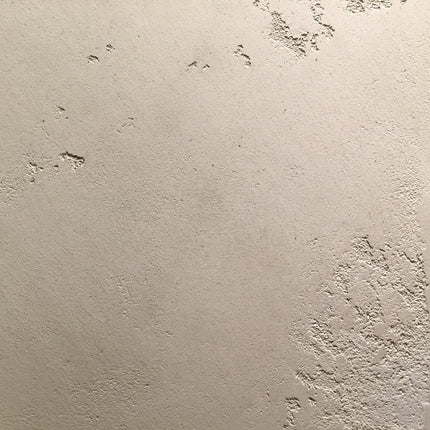 Intonachino Fine 8kg | concrete effects or base coats