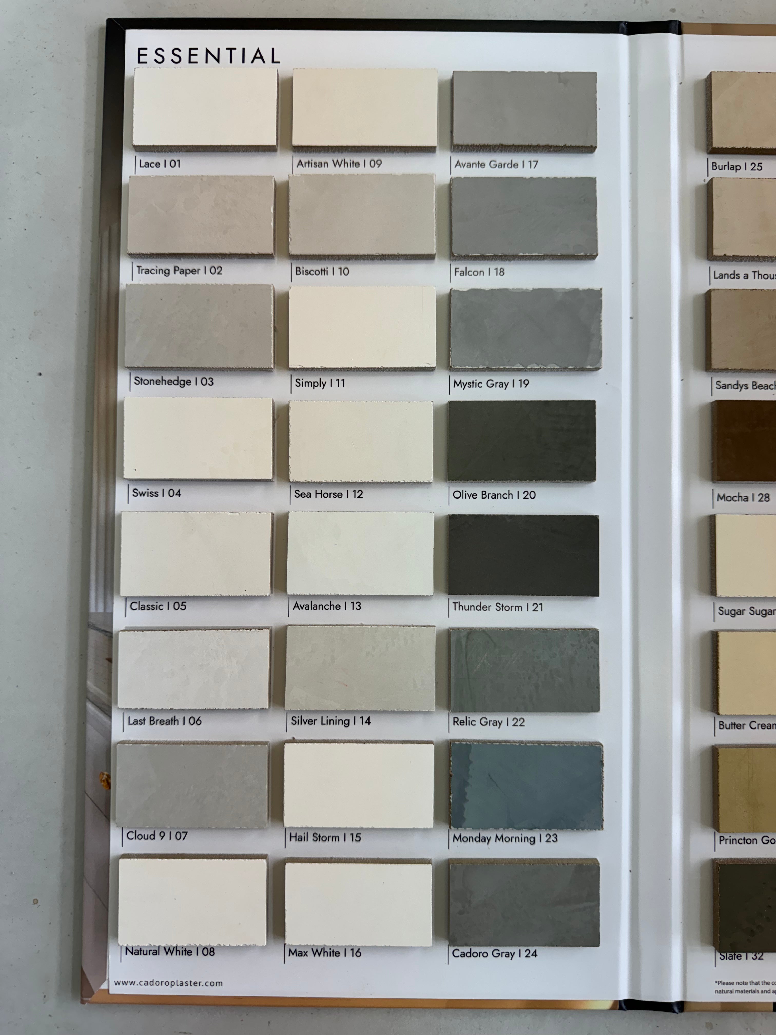 Essential Book 1 color chart