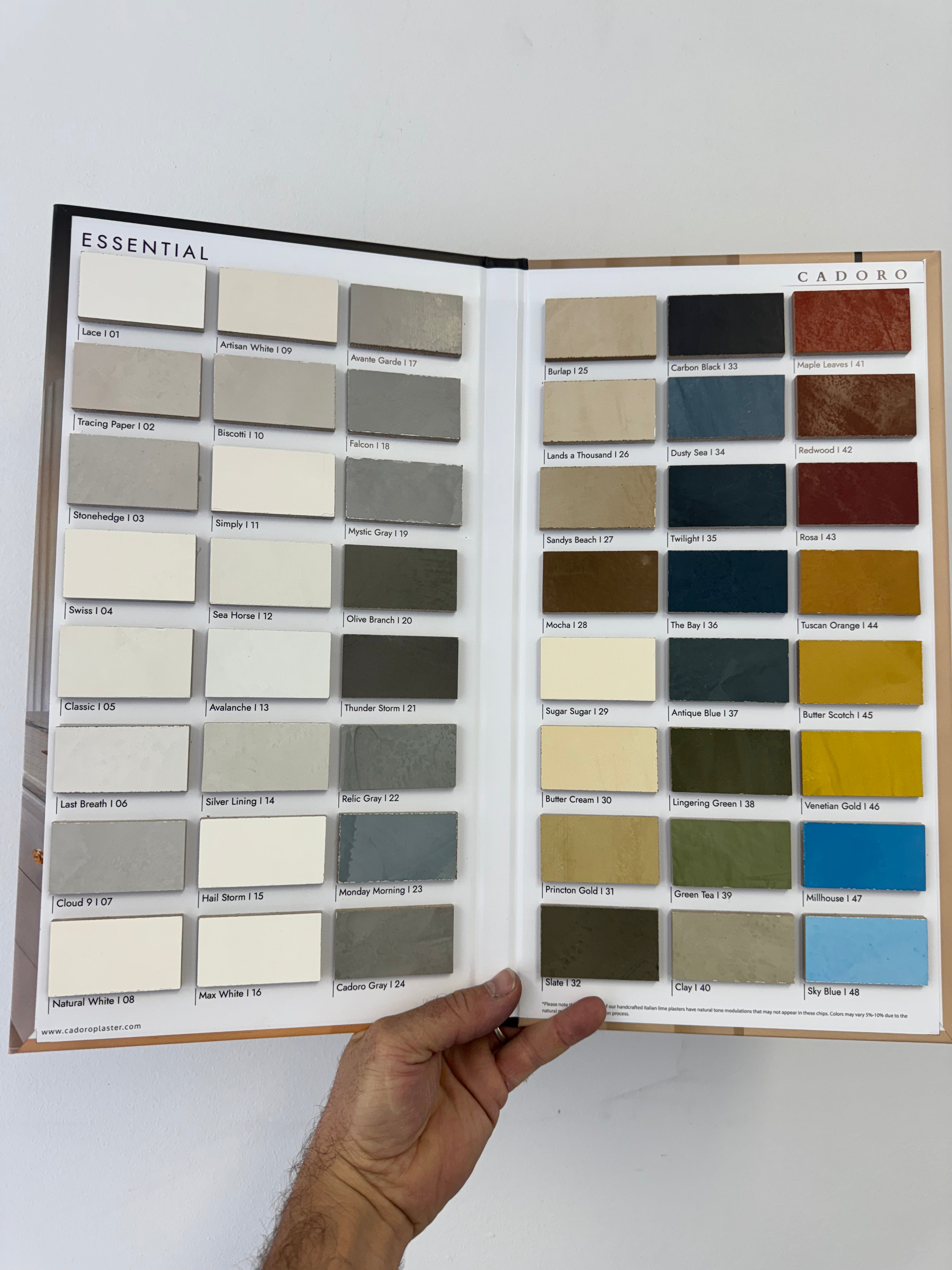 Essential Book 1 color chart – Cadoro Plasters