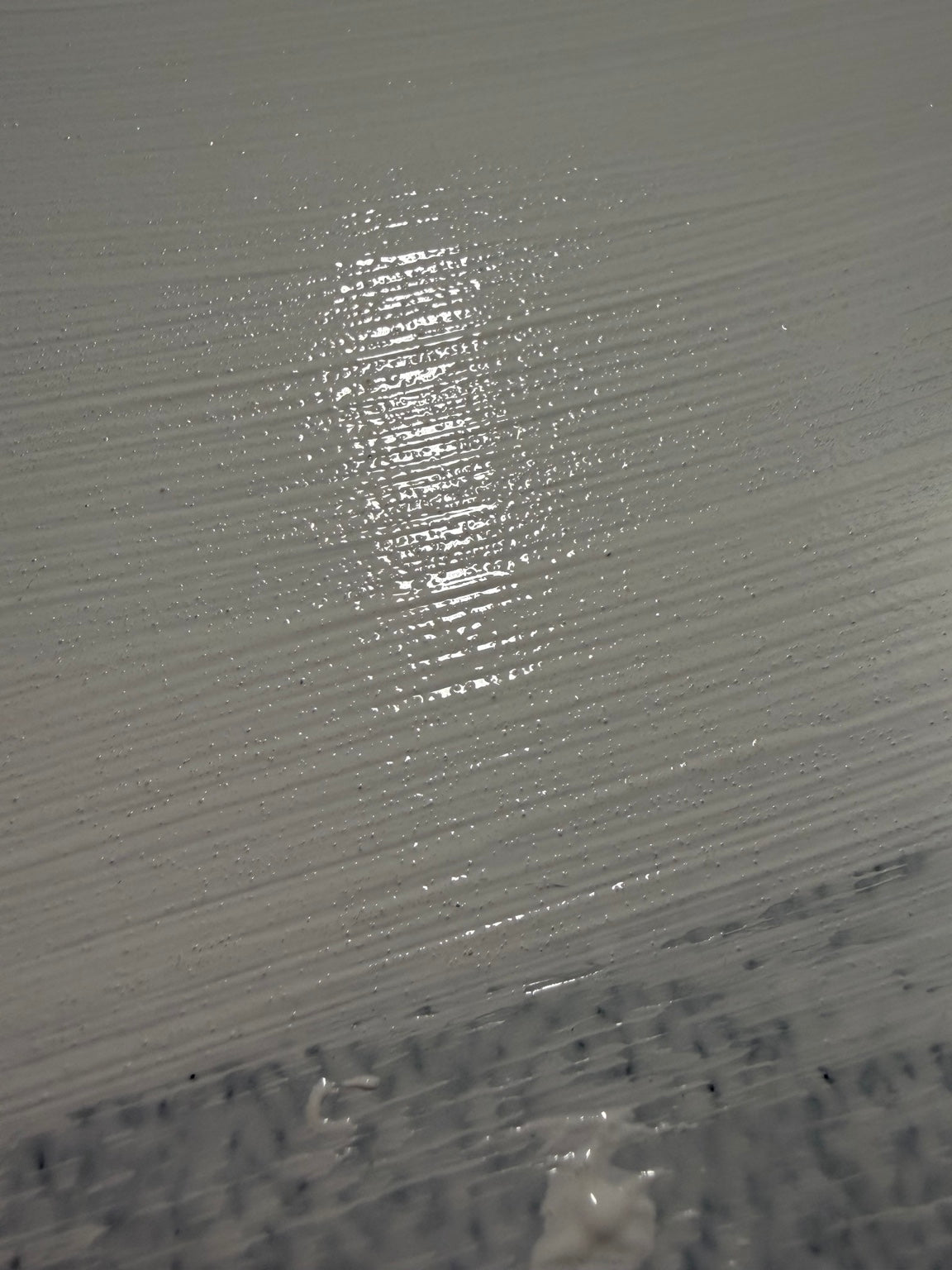 Close-up of freshly applied Cadoro Quartz Primer showing fine quartz texture